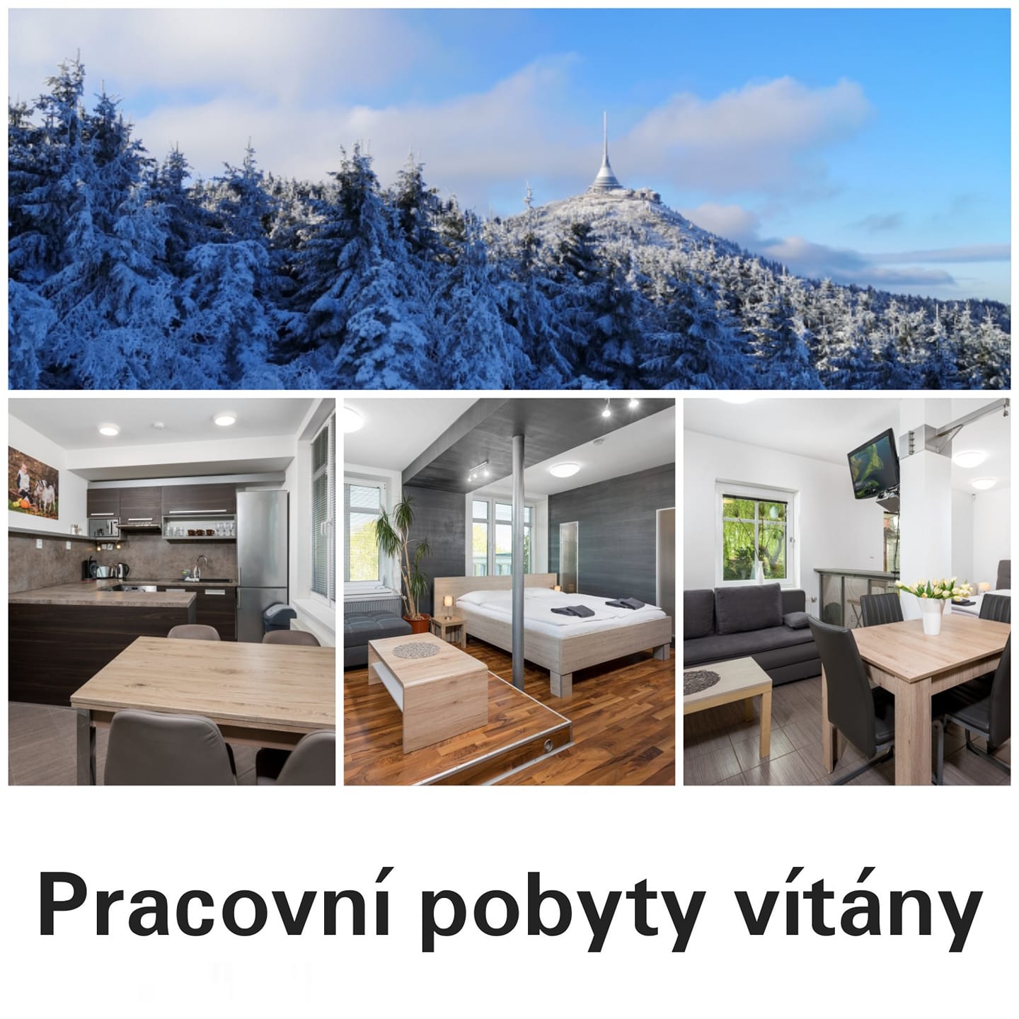Pracovní cesty a pobyty jsou vítány