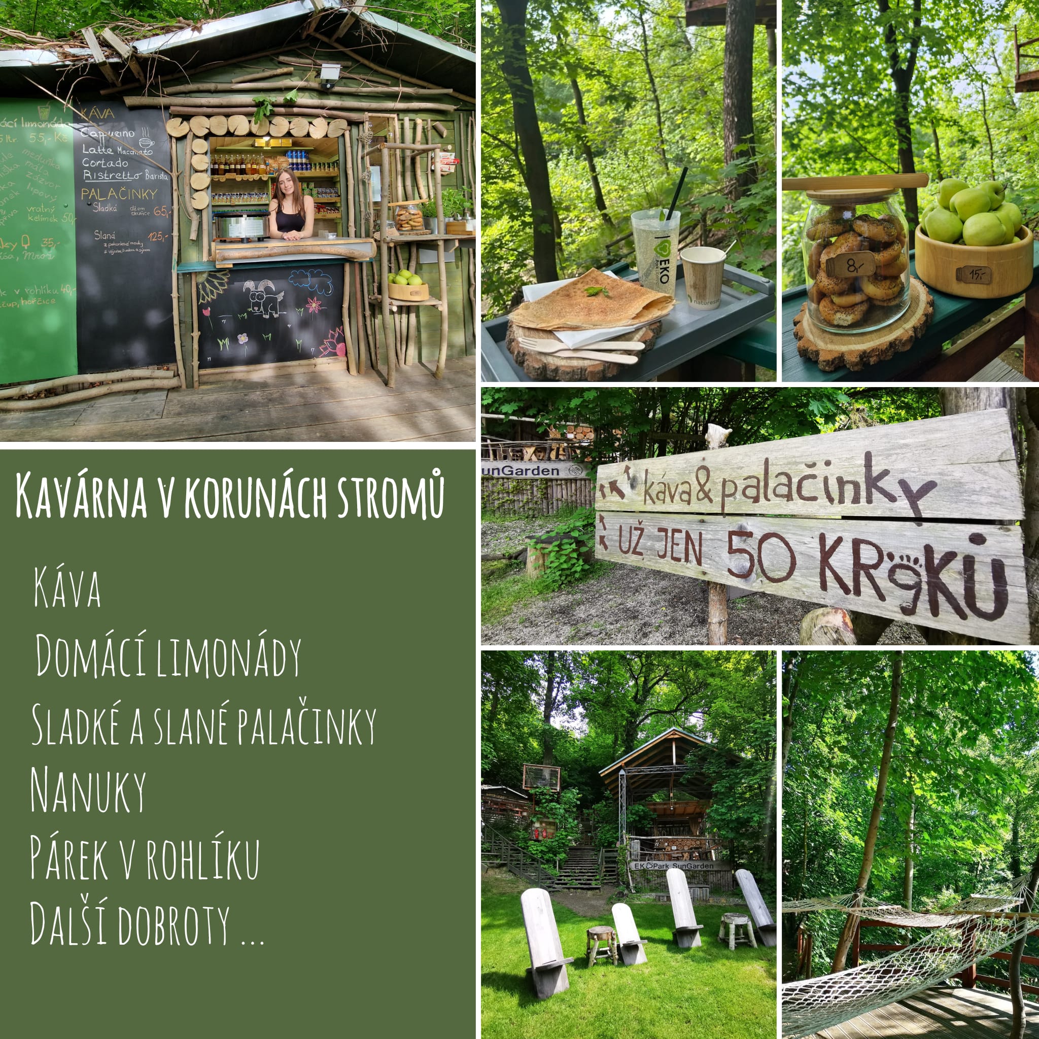 🌳 KAVÁRNA V KORUNÁCH STROMŮ 🌳
