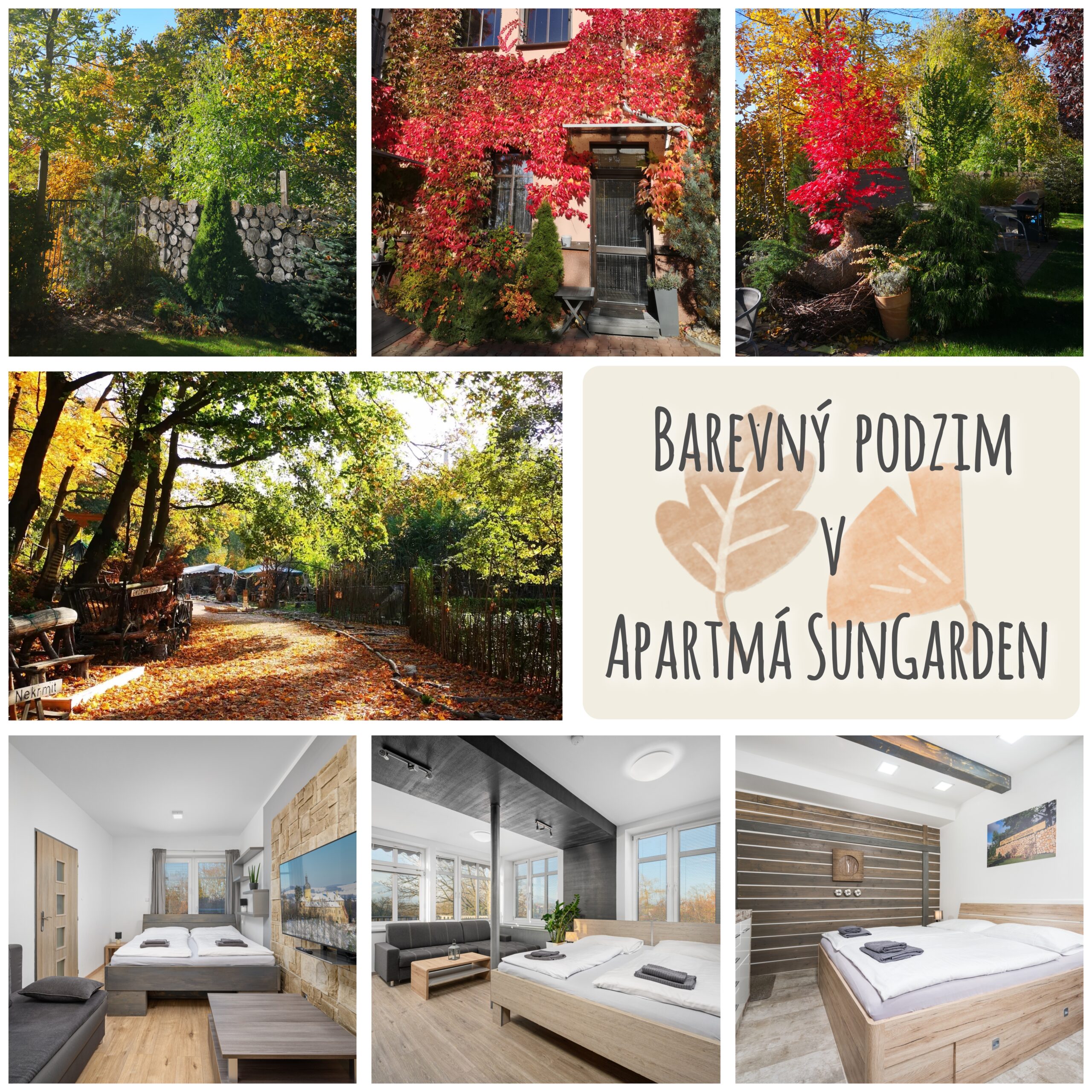 PODZIM – nejbarevnější období v roce je tu!