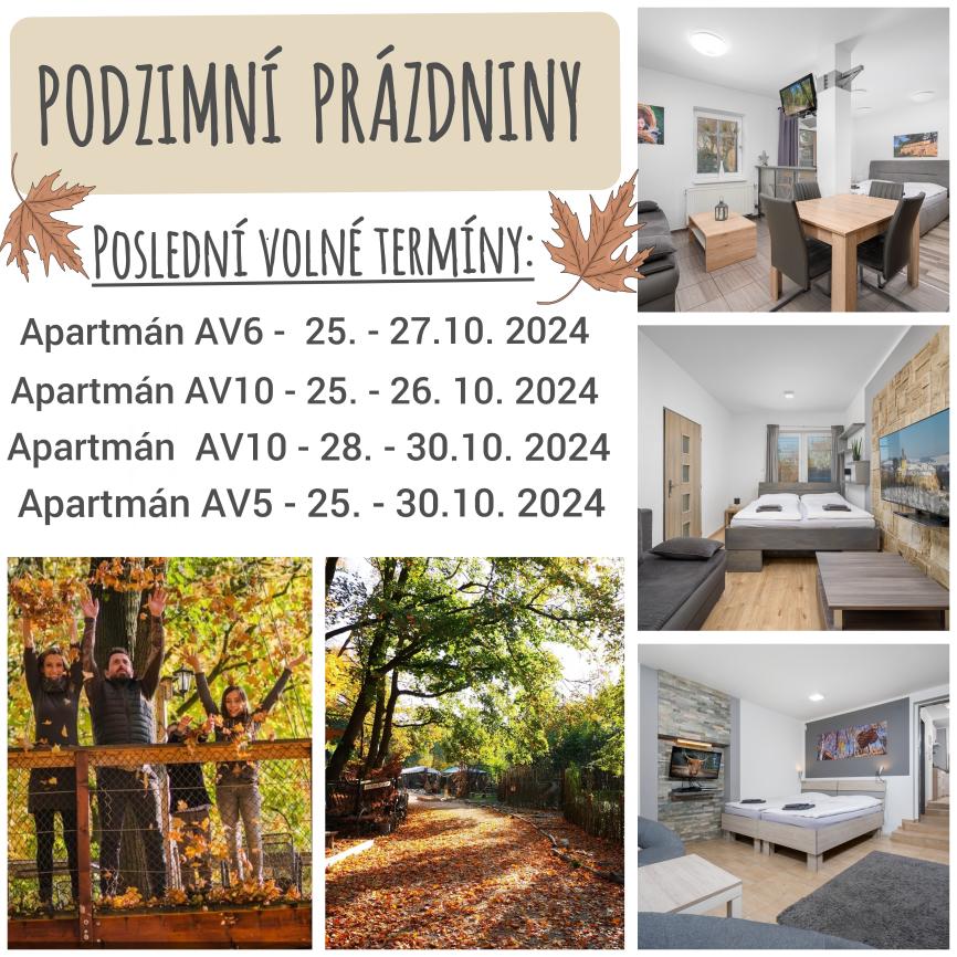 🍁PODZIM🍁 – nejbarevnější období v roce je TU!